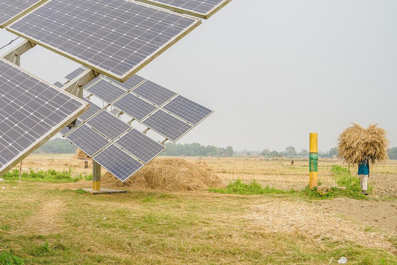 Une perosnne portant du foin sur la tête passe devant une pompe d'irrigation solaire au Bangladesh.